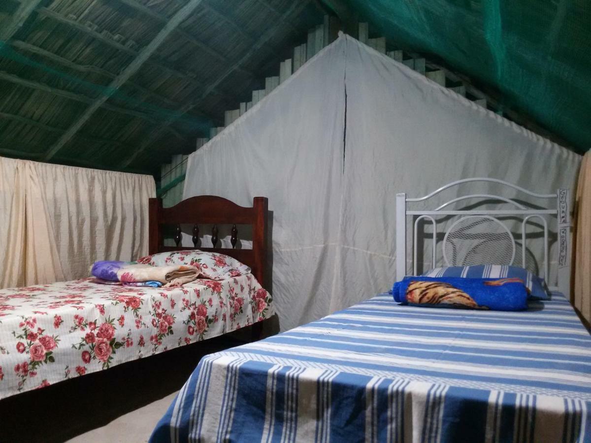 Refugio Raiz Camping Carolina  Kültér fotó